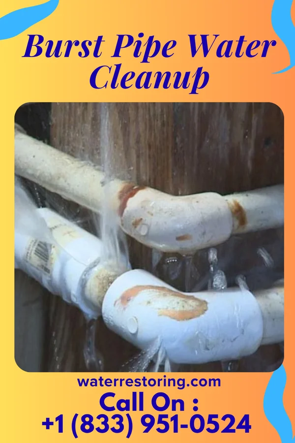 Burst Pipe Water Cleanup in Claverack-Red Mills, NY