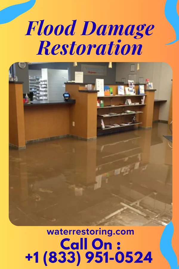 Flood Damage Restoration in Claverack-Red Mills, NY
