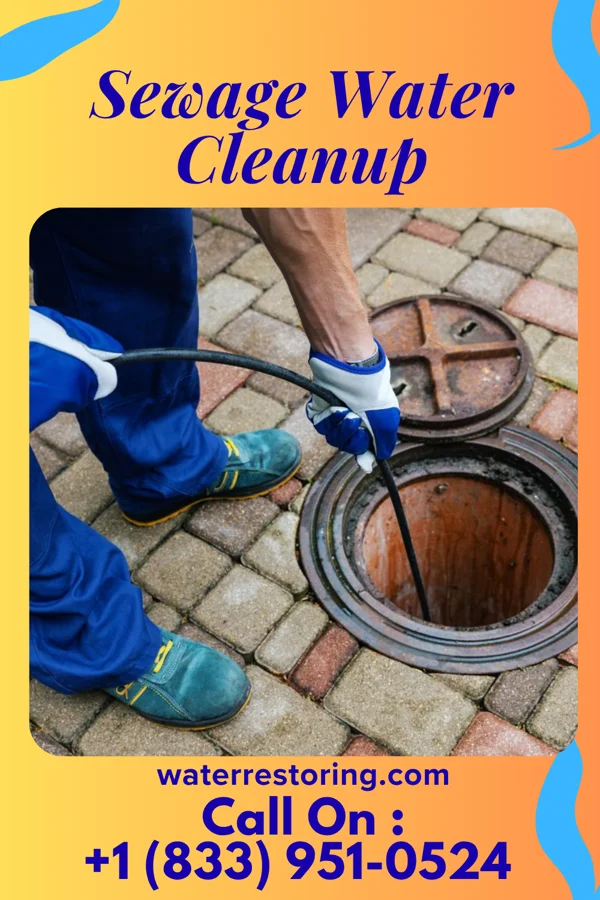 Sewage Water Cleanup in Claverack-Red Mills, NY